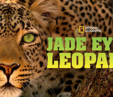 Jade Eyed Leopard (2020)