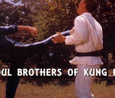 Soul Brothers Of Kung Fu (1977)