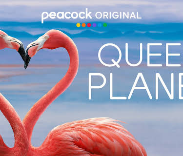 Queer Planet (2026)