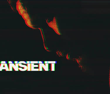 Transient (2024)