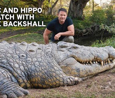 Croc and Hippo Watch with Steve Backshall
