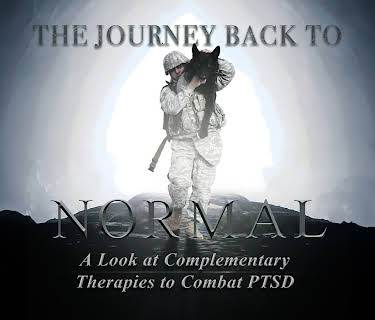 The Journey Back to Normal: A Look at Complementary Therapies to Combat PTSD (2022)