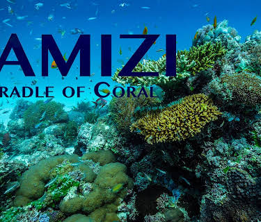 Vamizi: Cradle of Coral (2016)