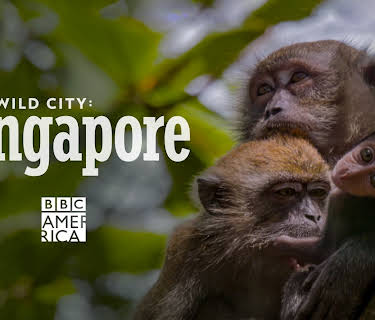 Wild City (2015)