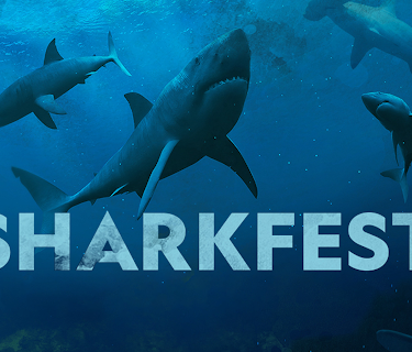 Sharkfest Season 3