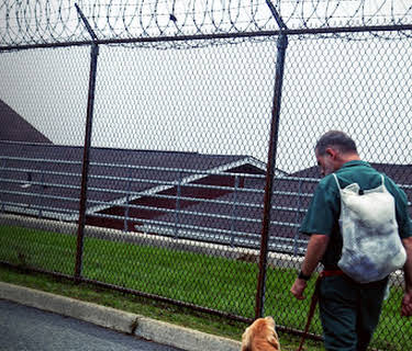Prison Dogs (2016)