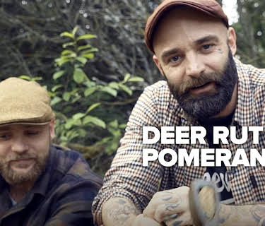 Deer Rut in Pomerania