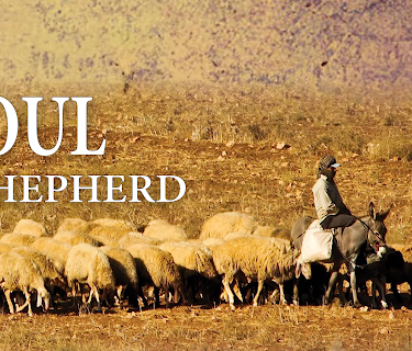 Expedition Bible: The Soul Shepherd