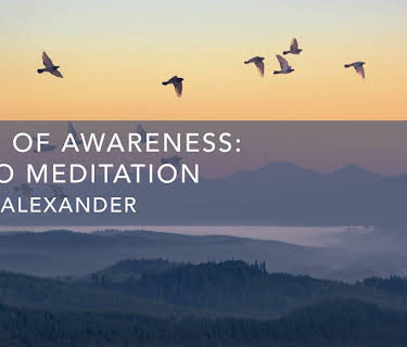 Field of Awareness (2020)