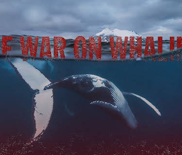 The War on Whaling (2017)