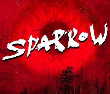 Camp Massacre (2011)