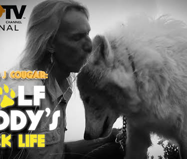 Leyton J. Cougar: Wolf Daddy's Pack Life