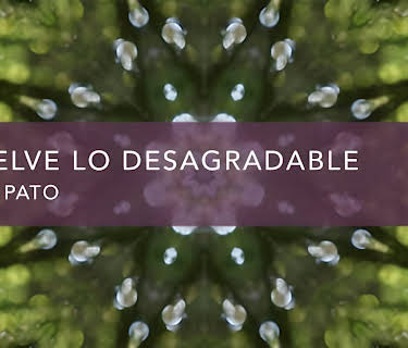 Disuelve lo desagradable (2016)