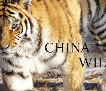 China Wild