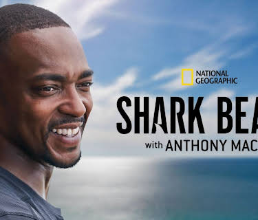 Shark Beach with Anthony Mackie: Gulf Coast (2024)