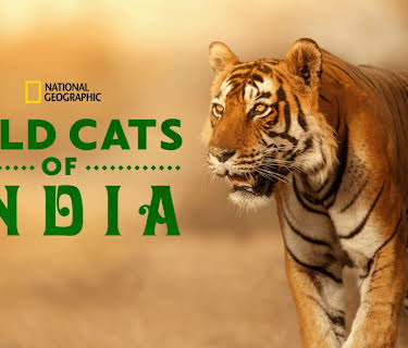 Wild Cats of India