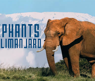 Elephants of Kilimanjaro (2022)