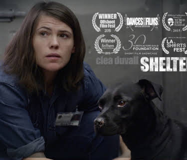 Shelter (2025)