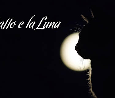 The cat and the moon (2026)