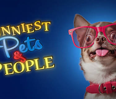 Funniest Pets and People