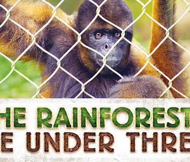 The Rainforests Are Under Threat (2015)
