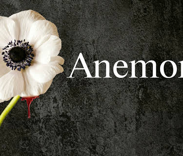 Anemone (2024)