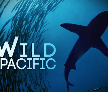 The Wild Pacific (2016)