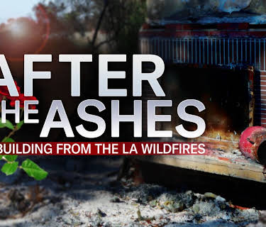 After the Ashes: Rebuilding from the LA Wildfires