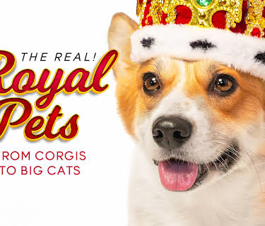 The Real! Royal Pets: From Corgis to Big Cats (2024)