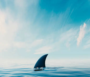 Secret Lives of Sharks (2021)