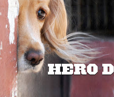 Hero Dog (2024)