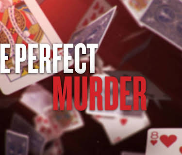 The Perfect Murder