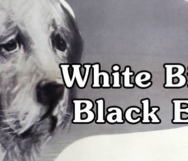 White Bim Black Ear (1977)