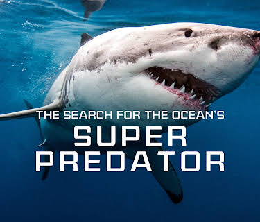 The Search for the Ocean's Super Predator (2013)