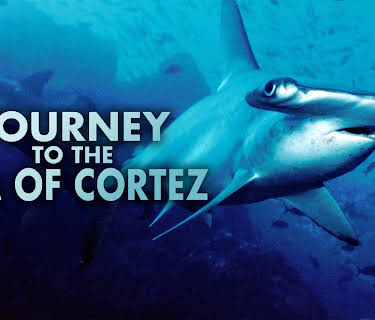 Journey to the Sea of Cortez (2012)