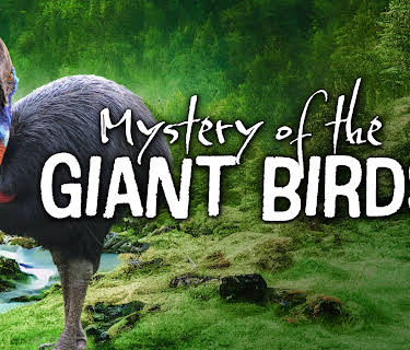 The Mystery of the Giant Birds (2025)