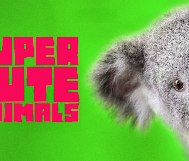 Super Cute Animals (2015)
