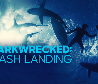 Sharkwrecked: Crash Landing (2019)