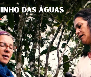 Caminho das Águas