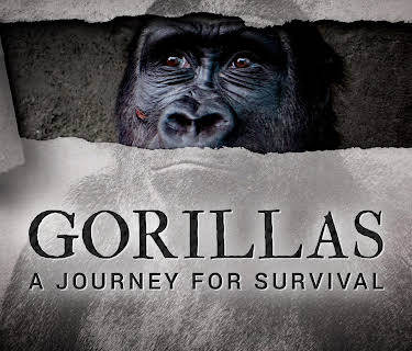 Gorillas A Journey For Survival (2008)