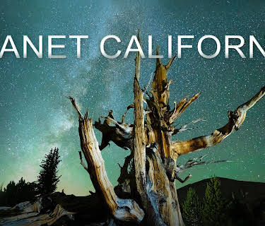 Planet California, Season 1