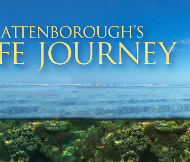 Attenborough's Life Journey (2024)