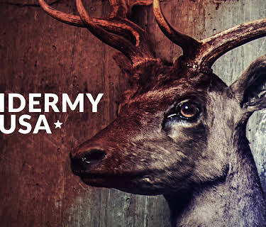 Taxidermy USA