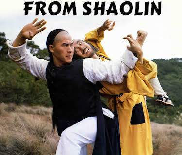 Five Fighters From Shaolin (1984)
