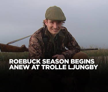 Roebuck Season Begins Anew at Trolle Ljungby