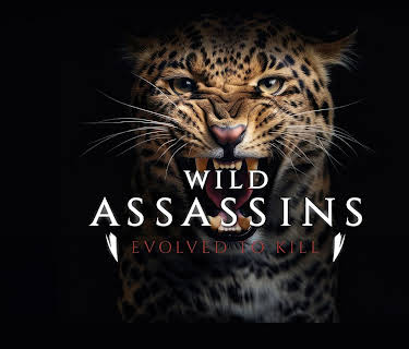 Wild Assassins