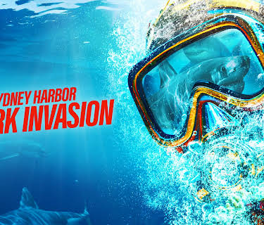 Sydney Harbor Shark Invasion