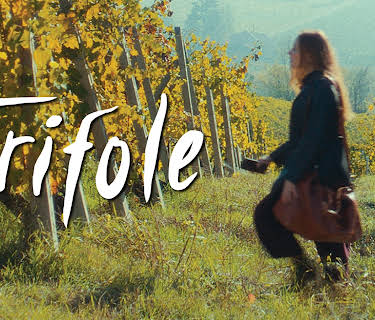 Trifole (2026)