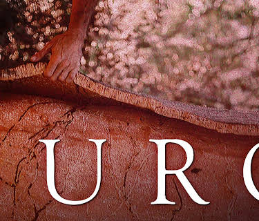 Suro (2024)