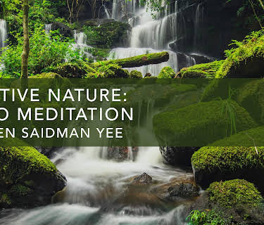 Intuitive Nature: Audio Meditation (2022)
